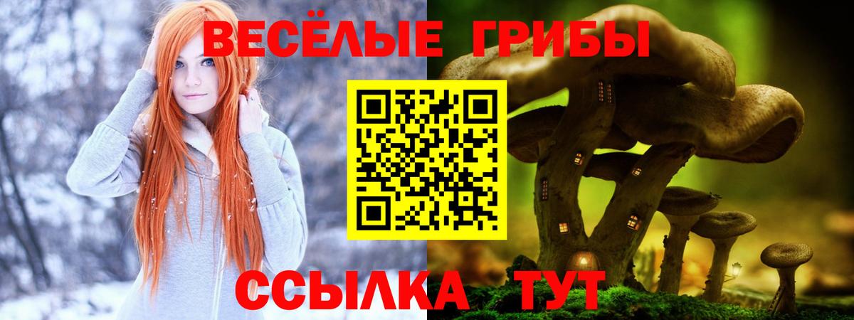 Галлюциногенные грибы Psilocybine cubensis  Вход с VPN  Нягань 
